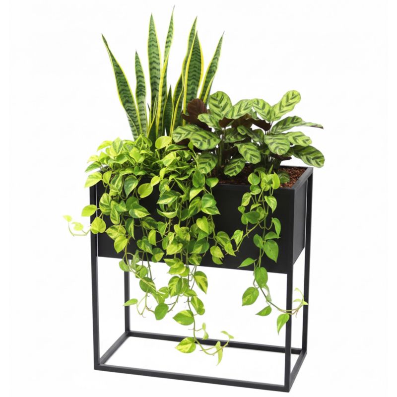 Kwietnik stojący JAKPOL Cubo Loft 60x60x30 cm metalowy czarny 1 szt.