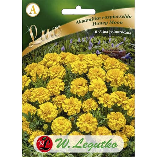 1 szt, Aksamitka rozpierzchła Honey Moon - Nasiona: Ilość w opakowaniu: 0.5 g
