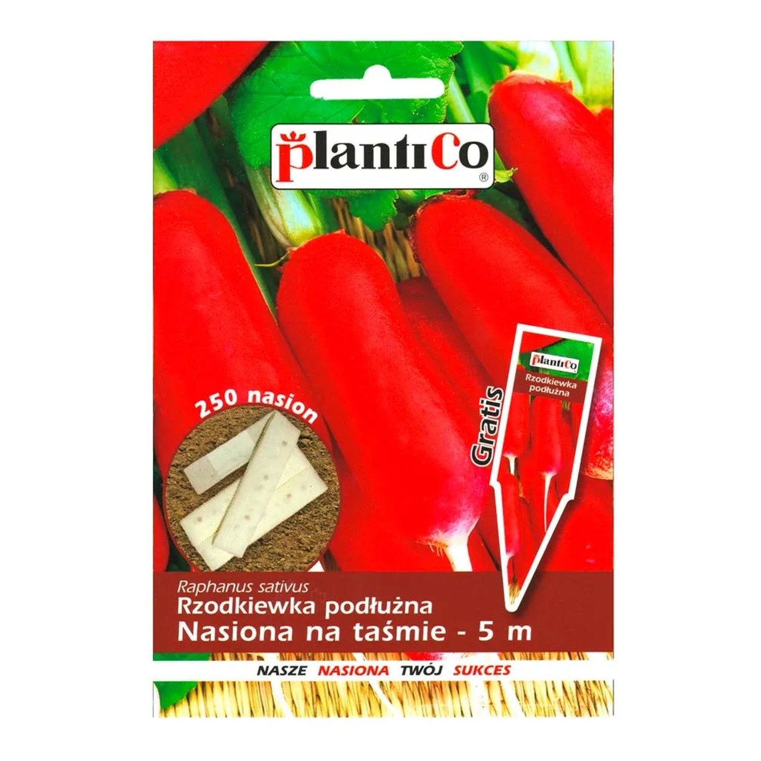 Rzodkiewka podłużna - nasiona na 5 m taśmie