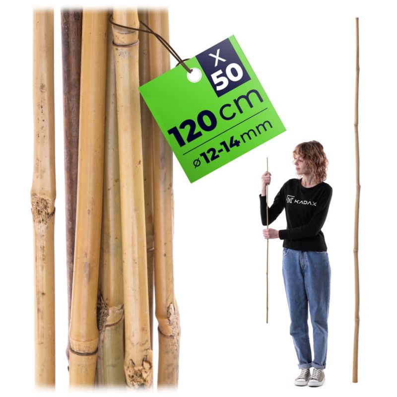 Paliki bambusowe KADAX do roślin 120 cm x 14 mm 50 szt.