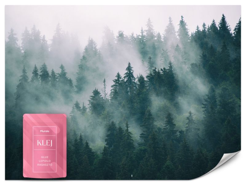 Fototapeta Muralo Las Mgła Przyroda 450x315 cm 1szt.