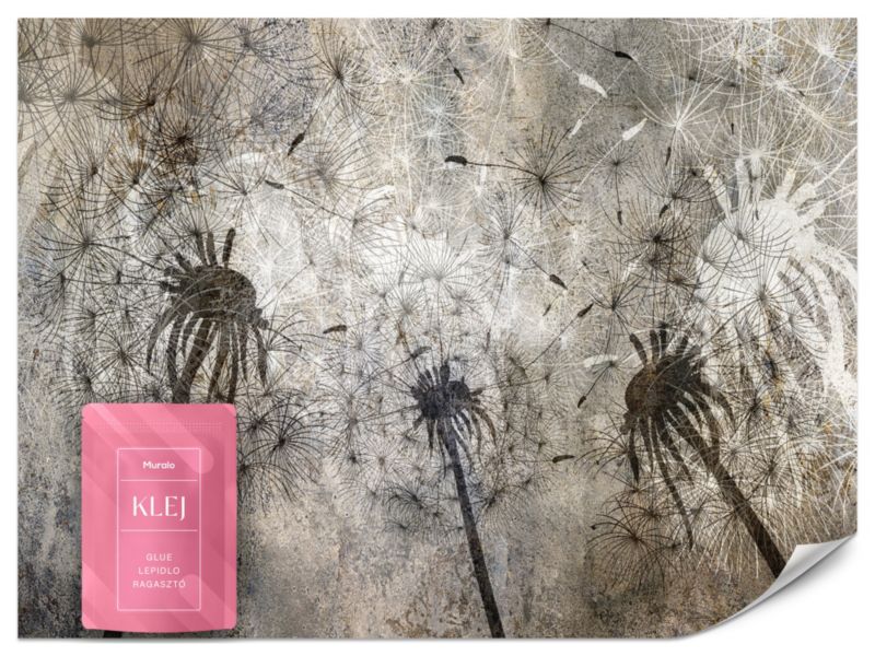 Fototapeta Muralo Dmuchawce Abstrakcja Mural 500x350 cm 1szt.