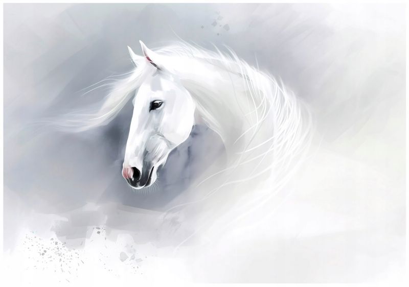 Fototapeta WALLARENA Dla Dzieci Na Flizelinie Koń Abstrakcja Zwierzęta Szary 254x184 cm 15974V4 1 szt.