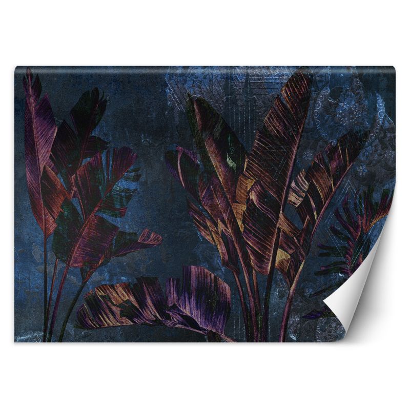 Fototapeta Feeby Liście Bananowiec Fiolet Niebieski 350x245 1 szt