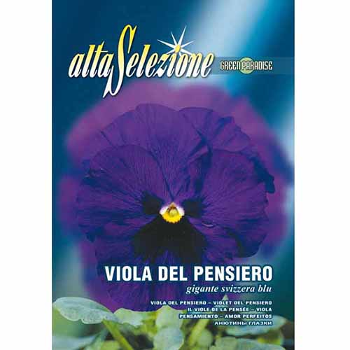 1 szt, Bratek szwajcarski wielkokwiatowy niebieski Morami - Nasiona: Ilość w opakowaniu: 0.4 g