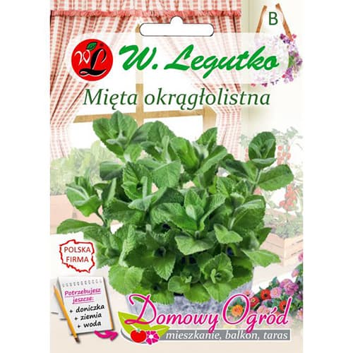 1 szt, Minze mit rundem Blatt - Samen: Ilość w opakowaniu: 0.1 g