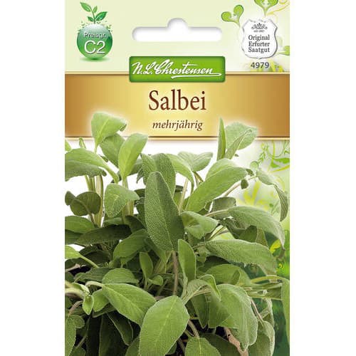 1 szt, Salbei mehrjährig - Samen: Ilość w opakowaniu: 1 Stück
