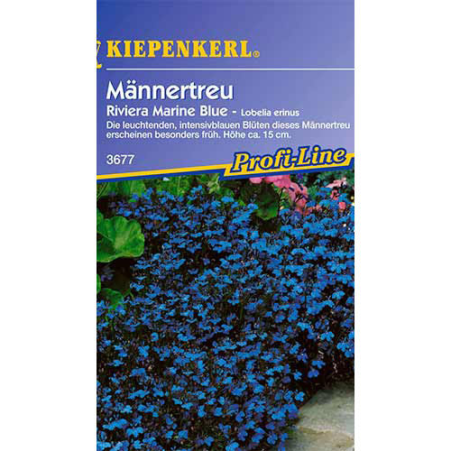 1 szt, Lobelia Riviera Marine Blue - Samen: Ilość w opakowaniu: 1 Stück