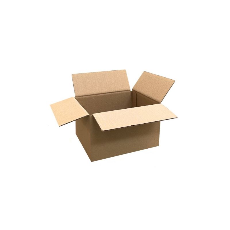 Karton klapowy TECH-PLAST 260x170x120 mm, 3-w.- 100 szt.