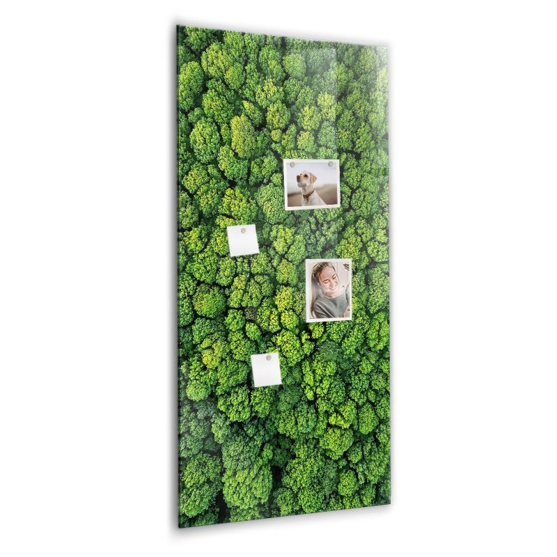 Tablica magnetyczna Wallfluent 60x120 cm Las drzewa natura 1 szt.