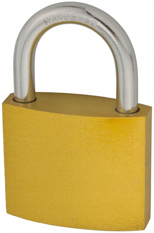 Kłódka FEINZ System Jednego Klucza Zestaw Z 1 Kluczem 50 Mm Żeliwna 10 Szt.