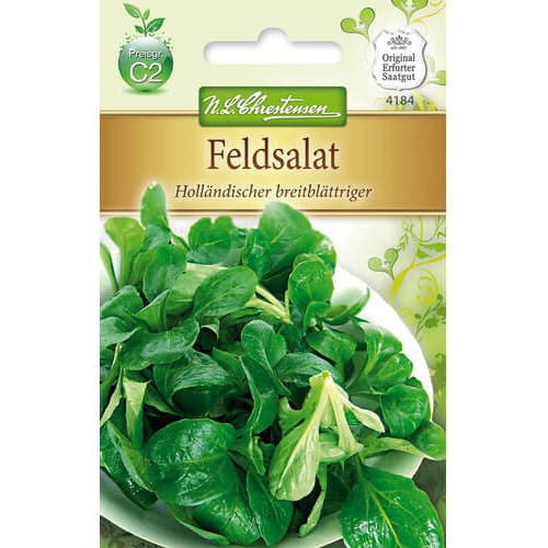 1 szt, Saláta Hollandischer Breitblattriger - Magok: Mod de ambalare: 1 db