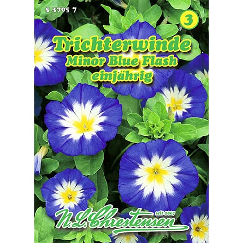 1 szt, Trichterwinde Minor Blue Flash - Samen: Ilość w opakowaniu: 1 Stück