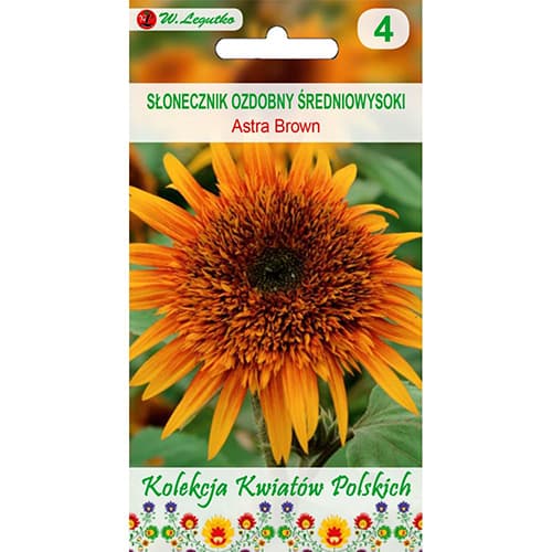 1 szt, Sonnenblume Astra Brown - Samen: Ilość w opakowaniu: 1 g