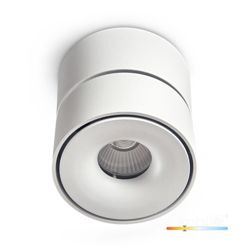 Oprawa sufitowa Lahti mini dim Kobi 9W 3000K biała 1szt.