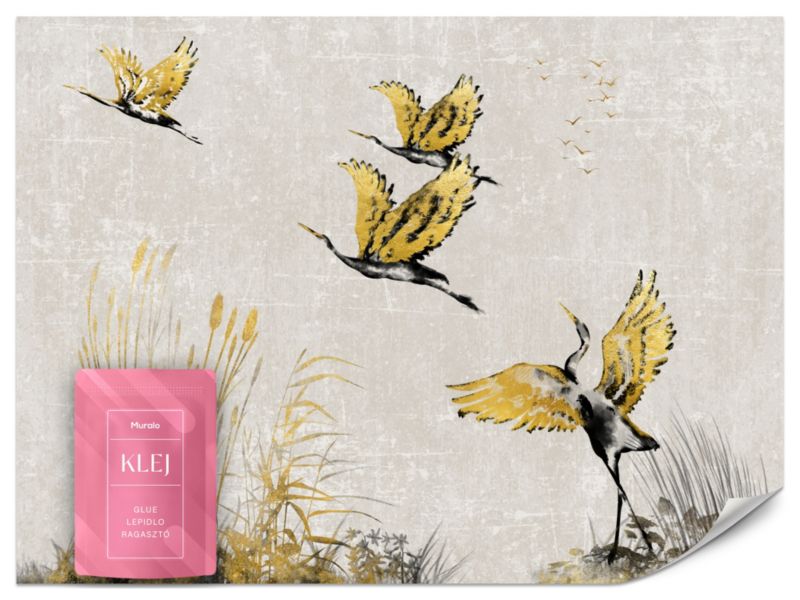 Fototapeta Muralo Gęsi Ptaki Abstrakcja 450x315 cm 1szt.