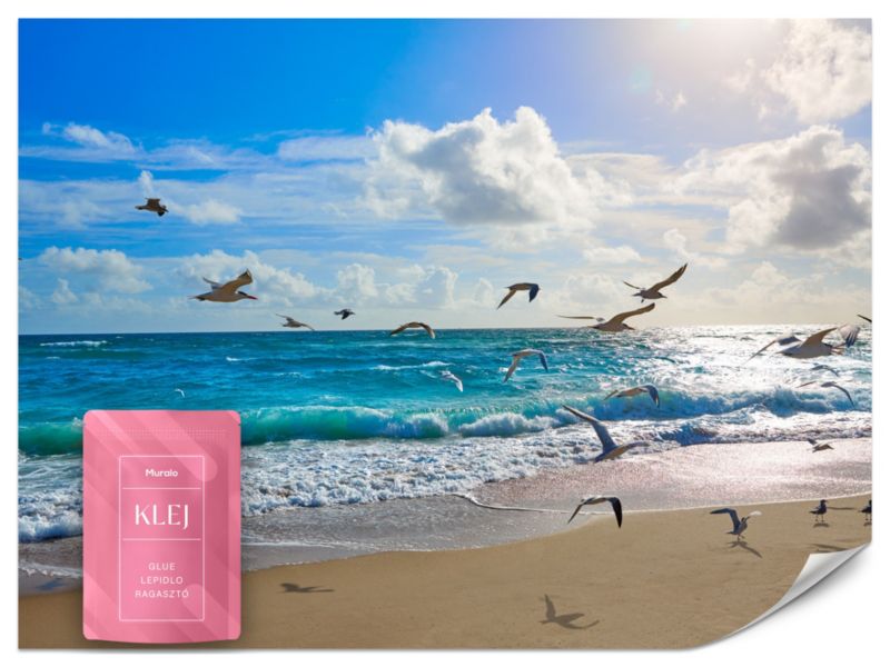 Fototapeta Muralo Słoneczna Plaża Krajobraz 400x280 cm 1szt.