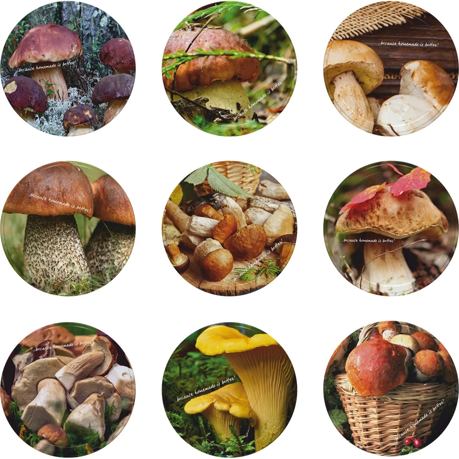 Zakrętka grzyby fi 8,2 - 10 szt.