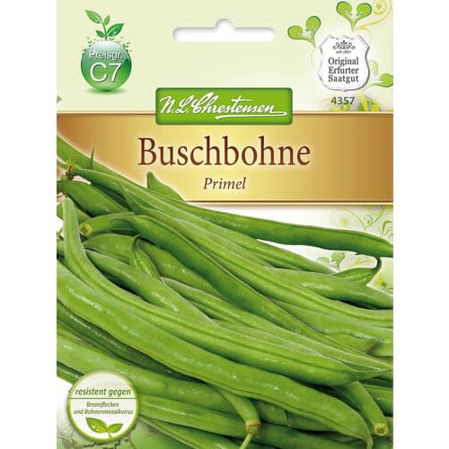 1 szt, Bab Primel - Magok: Mod de ambalare: 1 db