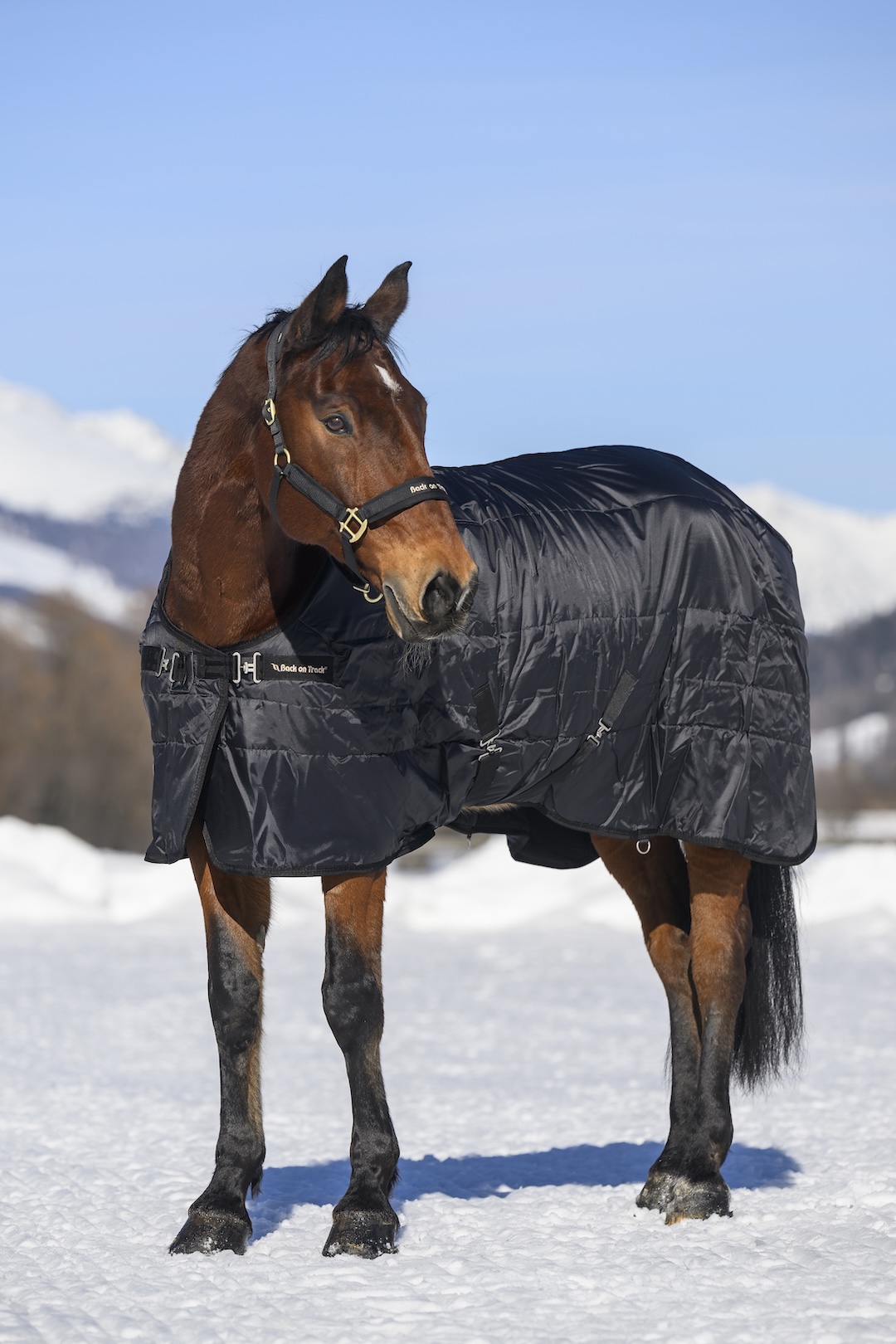 Back on Track Back on Track derka stajenna Mia Rime 160g