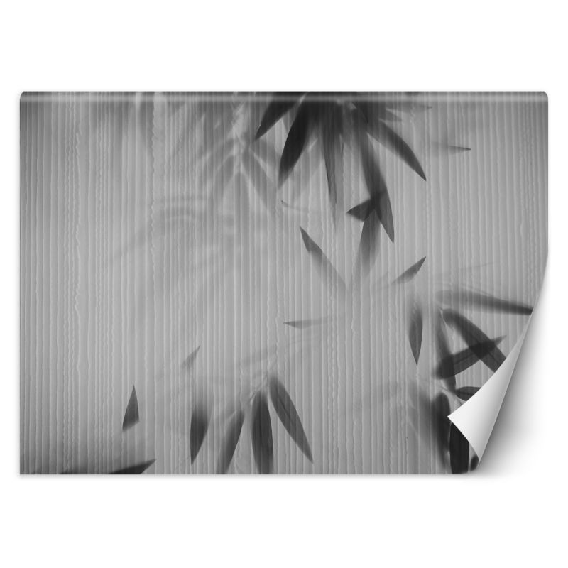 Fototapeta Feeby Liście we mgle abstrakcja 200x140 1 szt