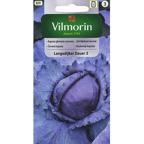 1 szt, Kapusta głowiasta czerwona Langedijker Dauer 3 Vilmorin - Nasiona: Ilość w opakowaniu: 2 g
