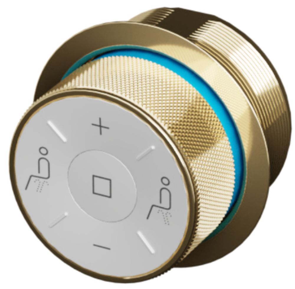 Excellent Dakota pokrętło sterujące złote CEEX.4022.D2.GL