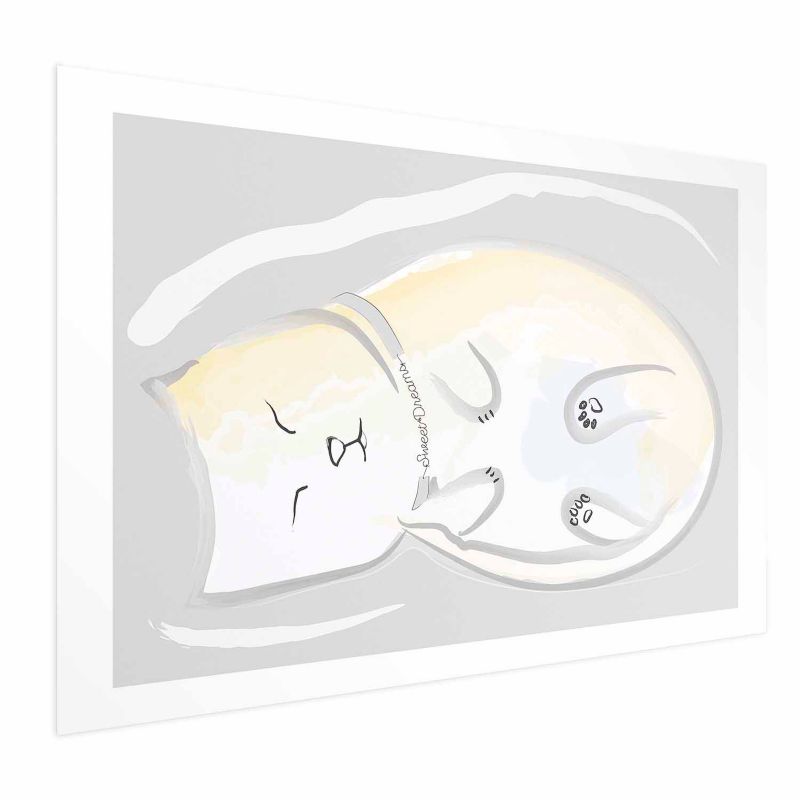 Plakat Artgeist Śpiący kotek 60x40 cm bez ramy 1 szt