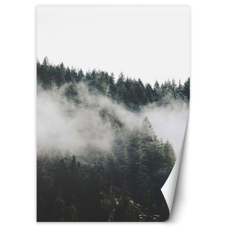 Fototapeta Feeby Las we mgle w górach 150x210 1 szt