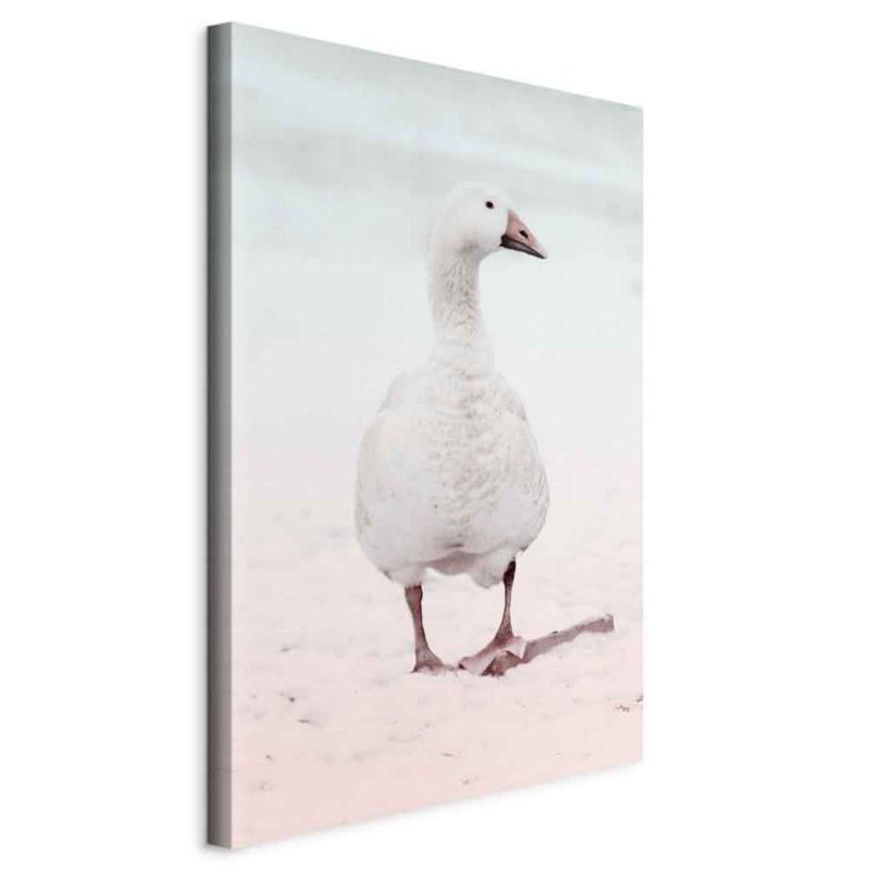 Obraz Artgeist Zimowa kaczuszka 60 x 90 cm płótno włoskie 1 szt