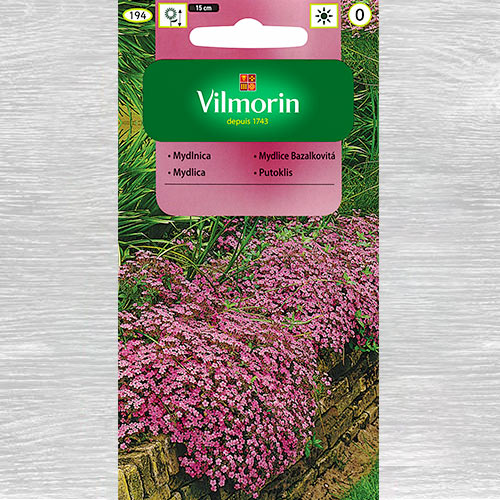 1 szt, Mydlnica różowa - Nasiona: Ilość w opakowaniu: 0.5 g