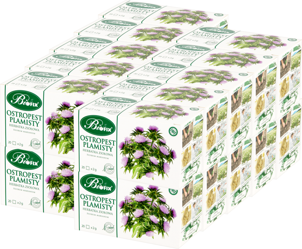 20x Herbata ziołowa w torebkach BiFix, ostropest plamisty, 20 sztuk x 2g