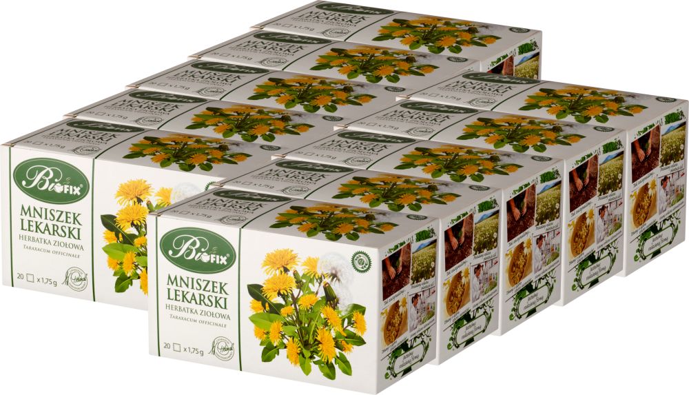 10x Herbata ziołowa w torebkach Bifix, mniszek lekarski, 20 sztuk x 1.75g