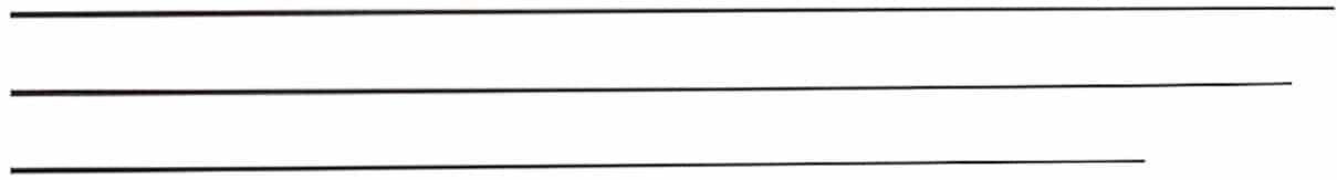 Jaxon Szczytówka Zapasowa Do Wędki Węglowa Pusta 5-20g #A