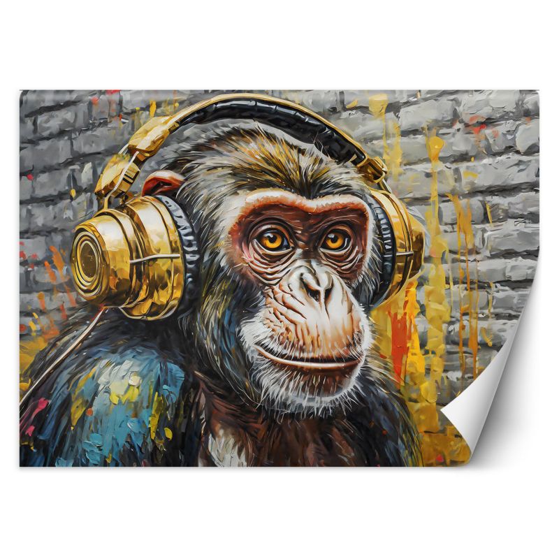 Fototapeta Feeby Małpa DJ 400x280 1 szt