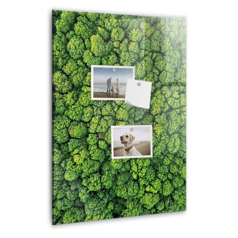 Tablica magnetyczna Wallfluent 40x60 cm Las drzewa natura 1 szt.
