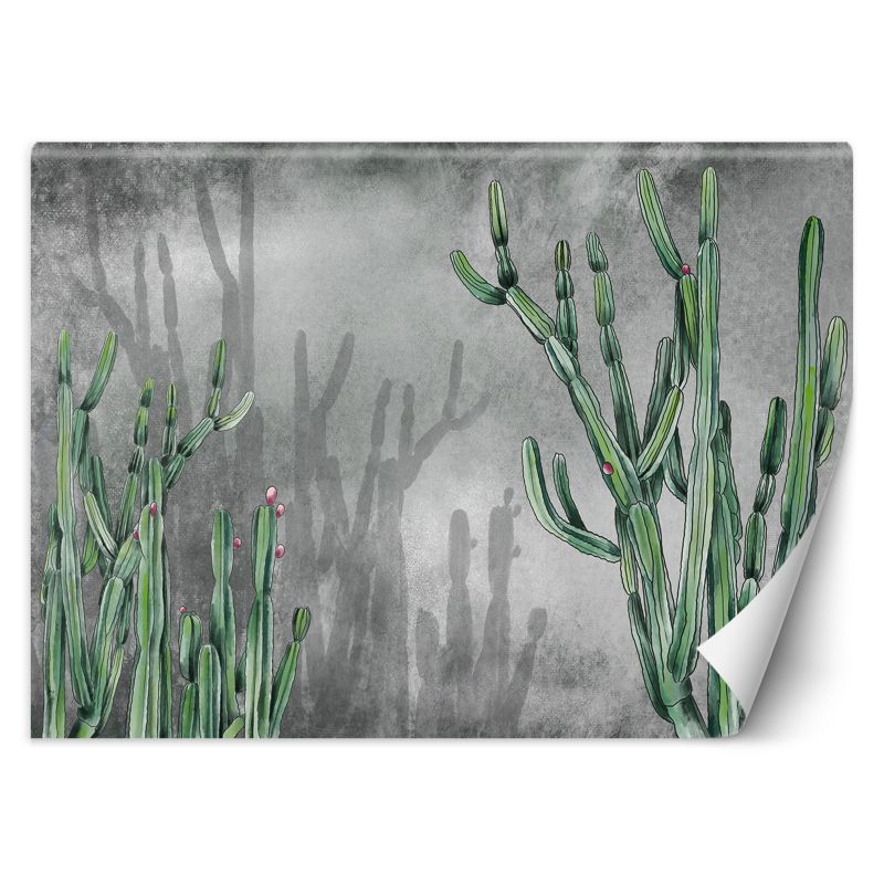 Fototapeta Feeby Duży kaktus pustynny 450x315 1 szt