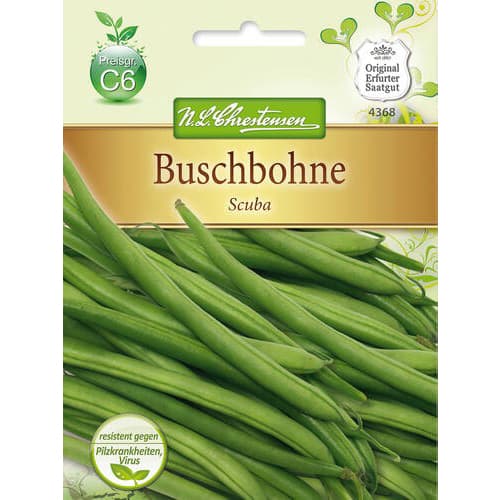 Fasola Scuba - Nasiona. Ilość w opakowaniu: 1 opak - GradinaMax