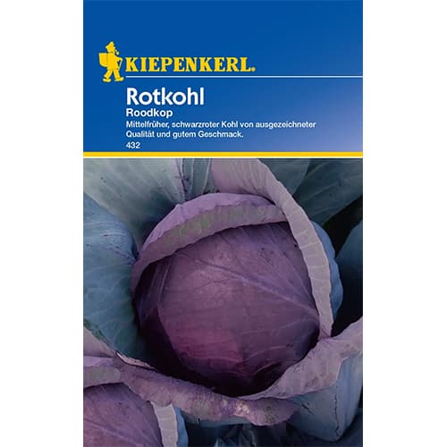 1 szt, Rotkohl Schwarzkopf 2 - Samen: Ilość w opakowaniu: 1 Stück