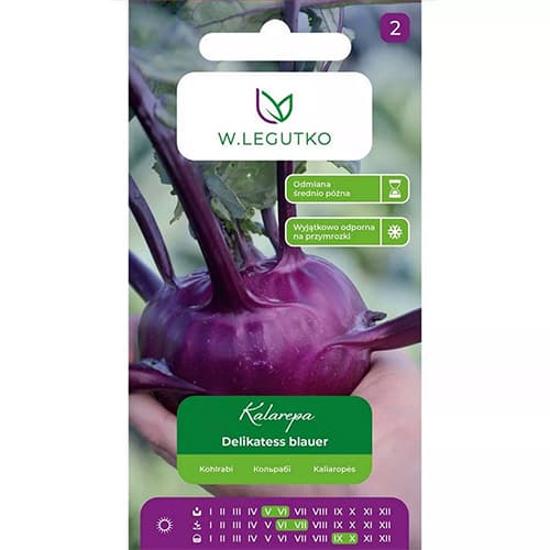 1 szt, Kohlrabi Delikatess blauer Legutko - Samen: Ilość w opakowaniu: 2 g