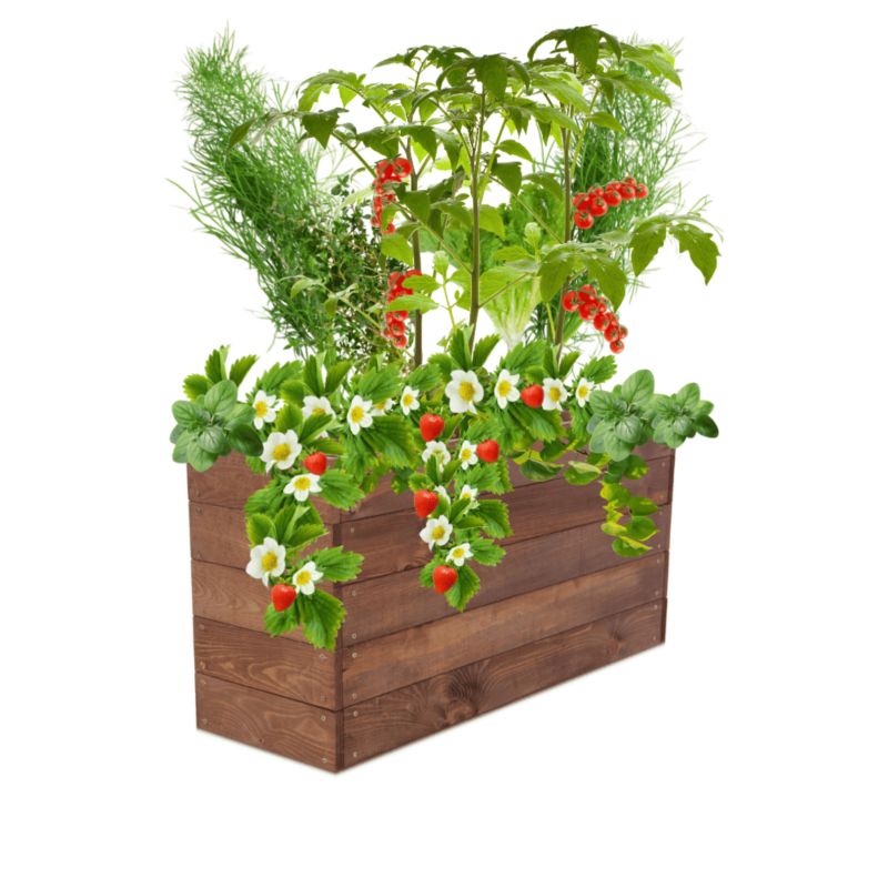 Grządka podwyższona MODO24 skrzynia na warzywa brązowa impregnacja 45x83x30 cm 1 szt.