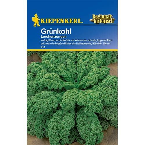 1 szt, Grünkohl Lerchenzungen - Samen: Ilość w opakowaniu: 1 Stück