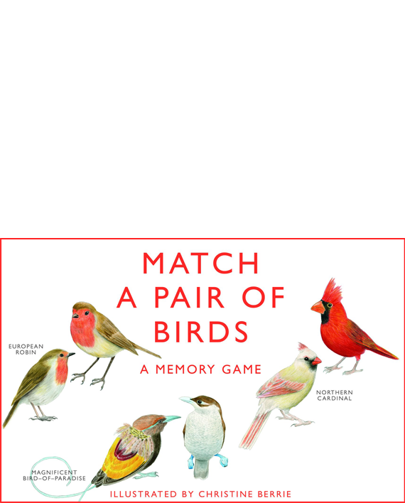 Match a Pair of Birds
