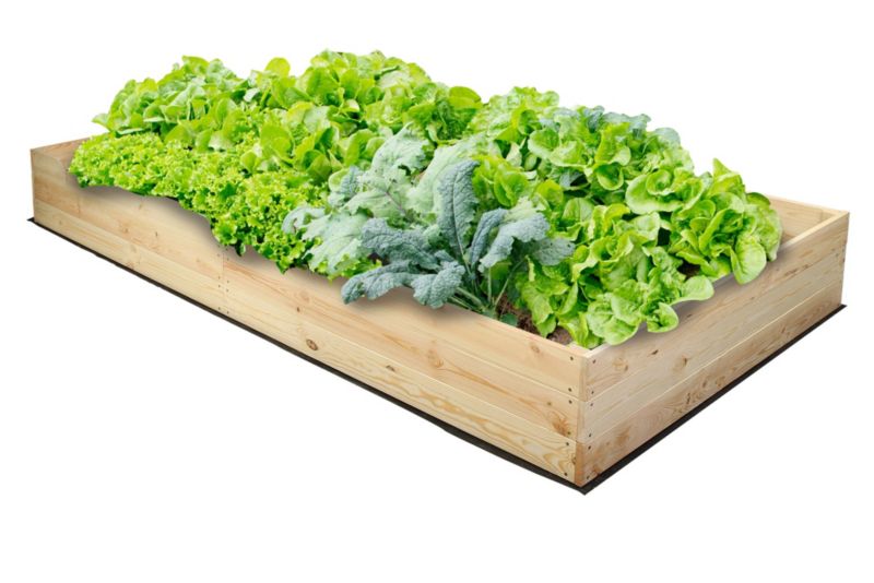 Inspekt warzywny MODO24 grządka naturalne drewno 27x237x100 cm 1 szt.