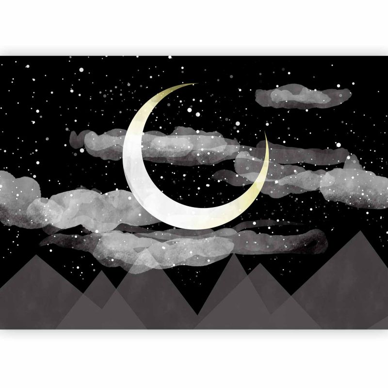 Fototapeta flizelinowa Premium Artgeist 155g/m2 Pejzaże czarna 450x315 (9 części) 10014aa rolka 1 szt