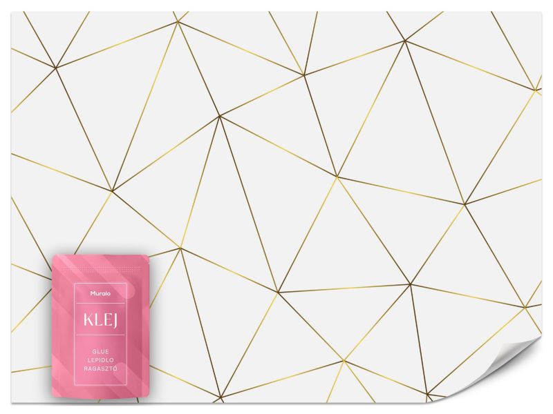 Fototapeta Muralo Abstrakcja Geometryczna Glamour 500x350 cm 1szt.