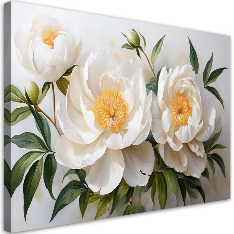 Obraz na płótnie Feeby Białe Kwintące Kwiaty Piwonii 100x70cm 1szt