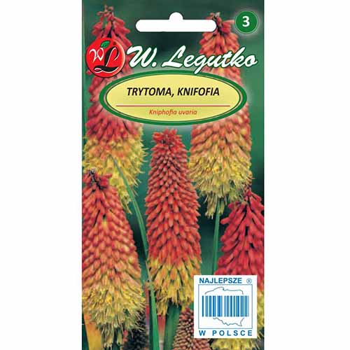 1 szt, Trytoma (Knifofia) czerwono-żółta Legutko - Nasiona: Ilość w opakowaniu: 0.2 g