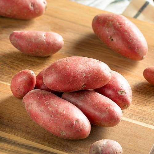 1 kg, Cartofi de sămânță Red Sonia - Tuberculi: Mod de ambalare: 1 kg