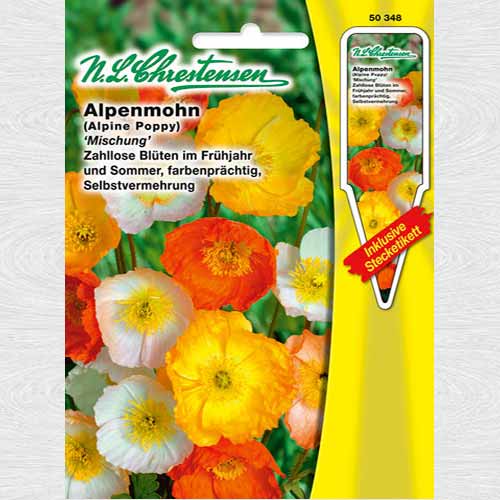 1 pac, Mac de munte, mix multicolor - Semințe: Mod de ambalare: 1 pac